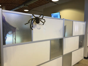 PWS Laundry divides their space with a new Modern Space Divider!