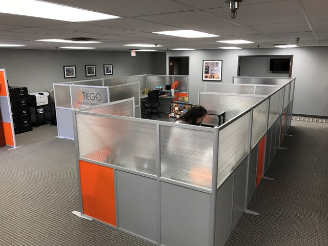 QTEGO Auction Services modernized their space with translucency and a pop of color!